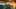 Game screenshot thumbnail 2