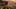 Game screenshot thumbnail 5
