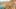 Game screenshot thumbnail 5