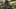 Game screenshot thumbnail 3