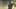 Game screenshot thumbnail 2