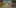 Game screenshot thumbnail 3
