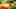 Game screenshot thumbnail 4
