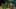 Game screenshot thumbnail 2