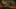 Game screenshot thumbnail 5