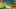 Game screenshot thumbnail 1
