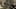 Game screenshot thumbnail 2