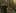 Game screenshot thumbnail 2