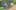 Game screenshot thumbnail 2