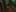 Game screenshot thumbnail 5
