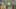 Game screenshot thumbnail 2