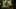Game screenshot thumbnail 5