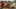 Game screenshot thumbnail 1