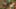 Game screenshot thumbnail 5