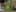 Game screenshot thumbnail 2