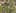 Game screenshot thumbnail 2