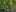Game screenshot thumbnail 2