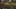 Game screenshot thumbnail 1