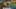 Game screenshot thumbnail 4