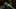 Game screenshot thumbnail 4