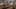 Game screenshot thumbnail 2