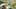 Game screenshot thumbnail 2