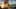 Game screenshot thumbnail 1
