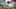 Game screenshot thumbnail 1