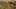 Game screenshot thumbnail 1