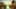 Game screenshot thumbnail 5