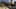 Game screenshot thumbnail 2