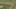 Game screenshot thumbnail 5
