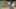 Game screenshot thumbnail 1