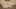 Game screenshot thumbnail 2