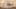 Game screenshot thumbnail 5