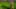 Game screenshot thumbnail 1