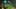 Game screenshot thumbnail 2