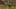 Game screenshot thumbnail 3