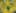 Game screenshot thumbnail 2