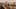 Game screenshot thumbnail 1