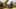 Game screenshot thumbnail 5
