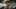Game screenshot thumbnail 2