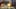 Game screenshot thumbnail 5