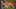 Game screenshot thumbnail 5