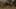 Game screenshot thumbnail 4