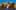 Game screenshot thumbnail 4