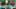 Game screenshot thumbnail 1