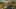 Game screenshot thumbnail 2