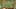 Game screenshot thumbnail 1