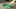 Game screenshot thumbnail 2